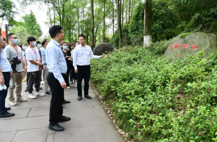 335e04b8-f4fc-49db-b17a-f66562c2c6ea